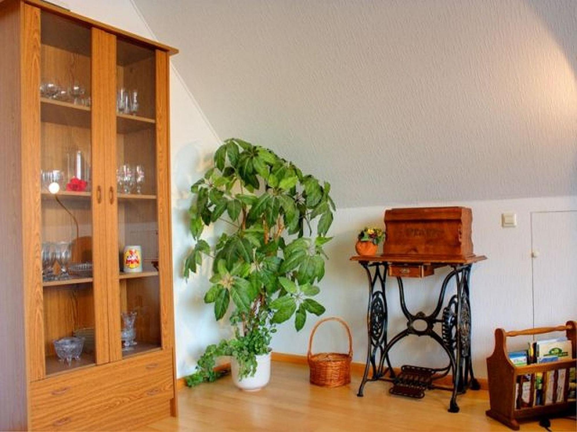 Haus Wehrle Apartment Breisach Exterior foto